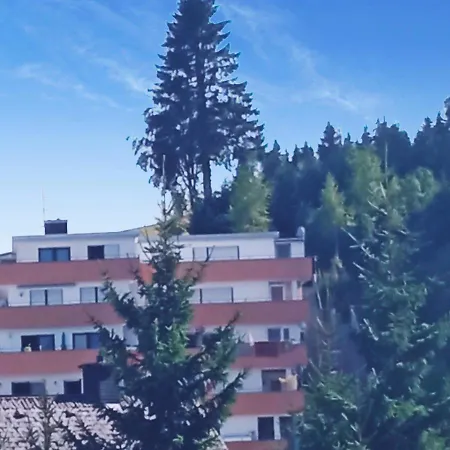 Fewo Ketterer Schoenwald im Schwarzwald